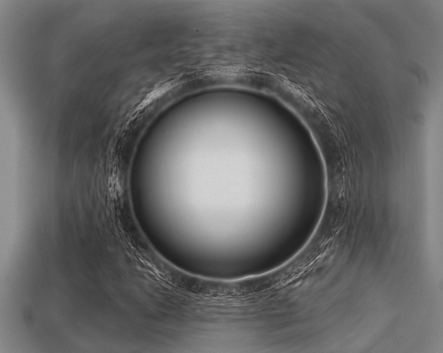 X0000113201206200909171506