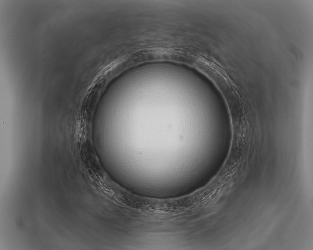 X0000113201207200909171506