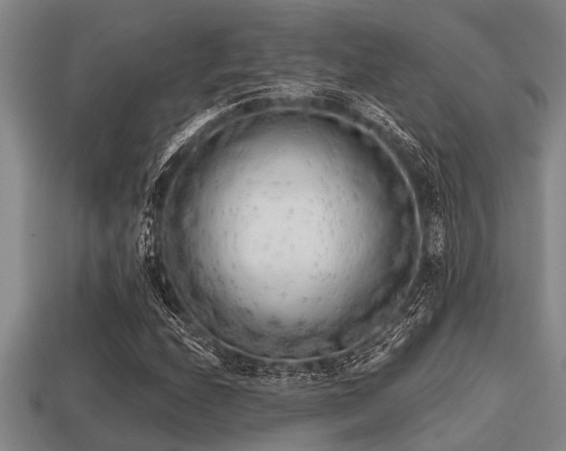 X0000113201208200909171506