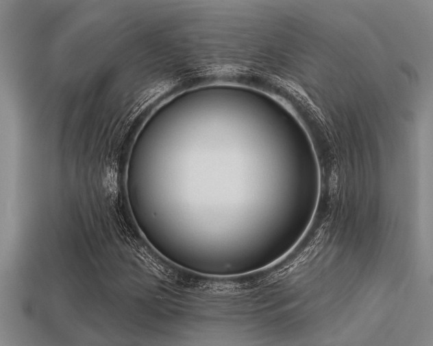 X0000113201209200909171507