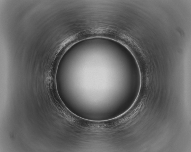 X0000113201210200909171507