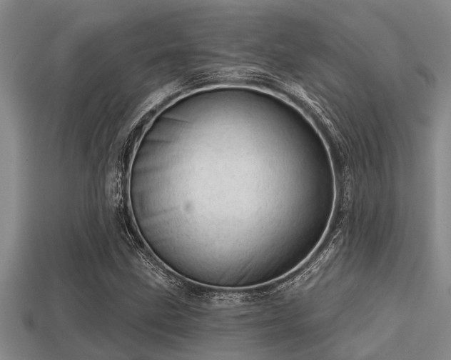 X0000113201211200909171507