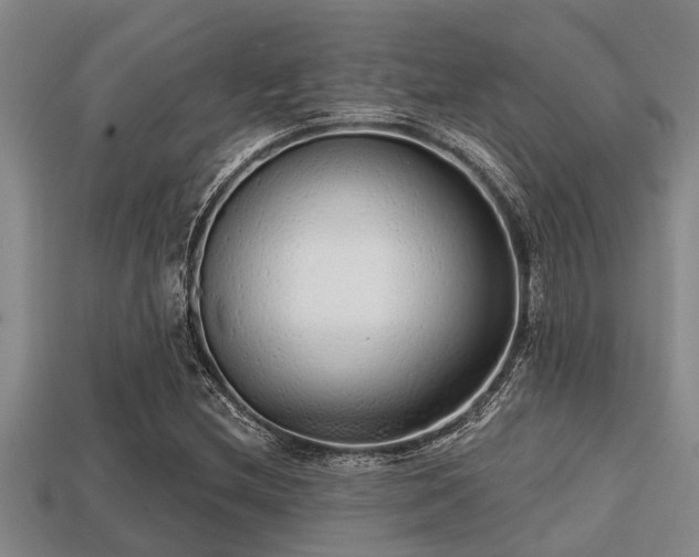 X0000113201212200909171507