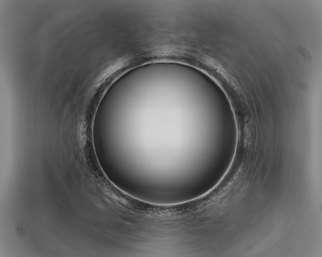 X0000113201213200909171507