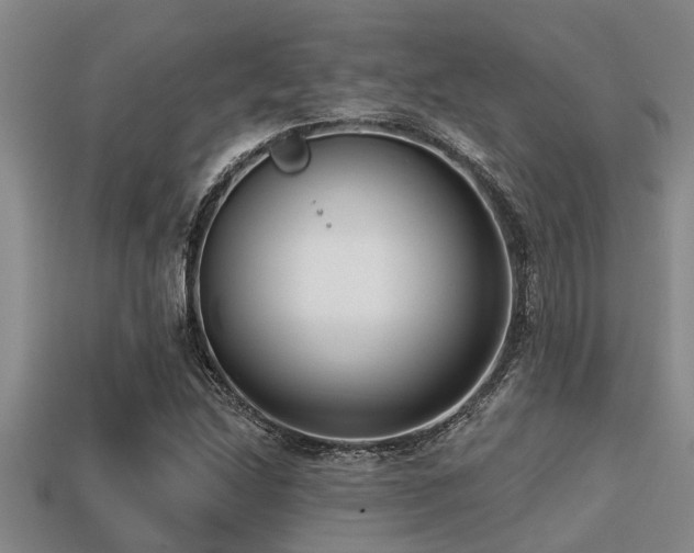 X0000113201214200909171507