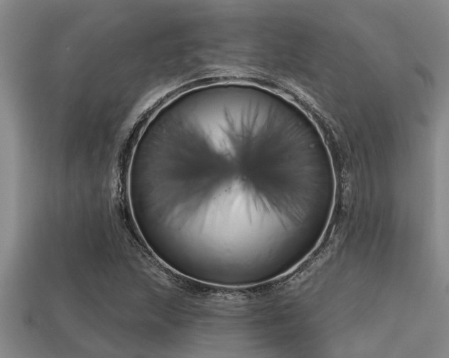 X0000113201215200909171507