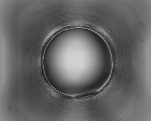 X0000113201216200909171507