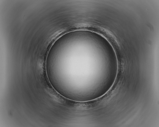 X0000113201217200909171507