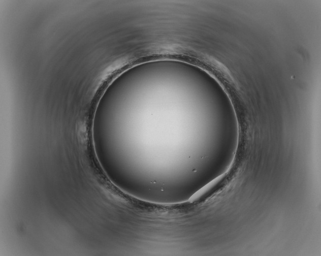 X0000113201218200909171507