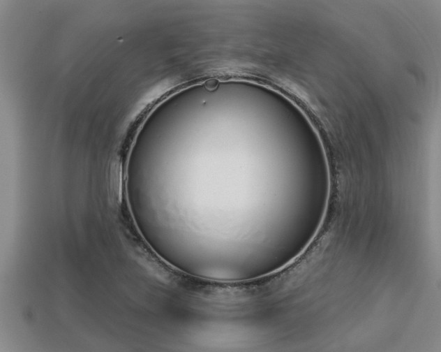 X0000113201219200909171507