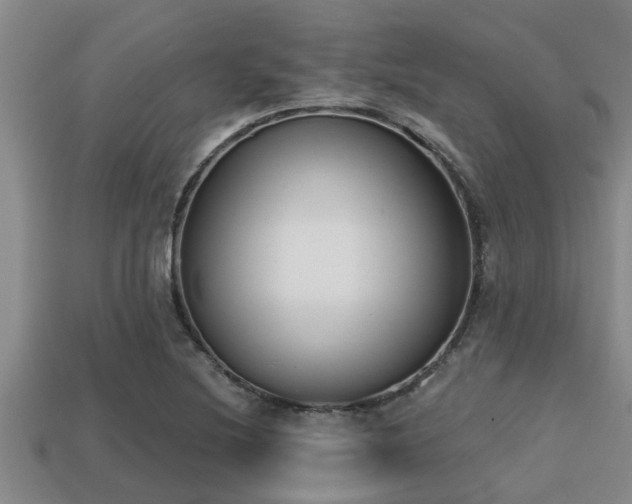 X0000113201220200909171507