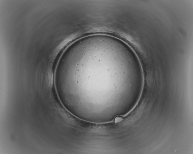 X0000113201221200909171507