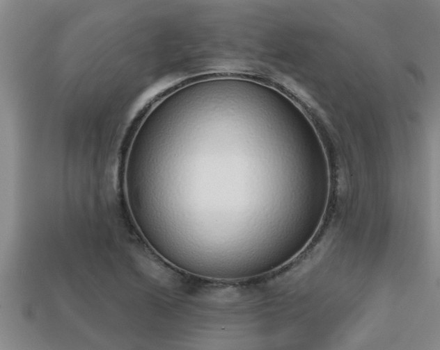 X0000113201222200909171507