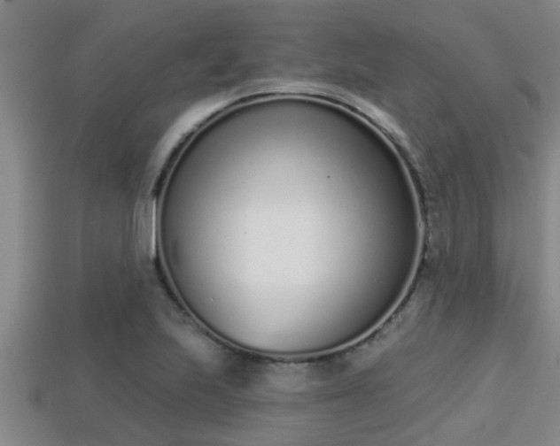 X0000113201223200909171507