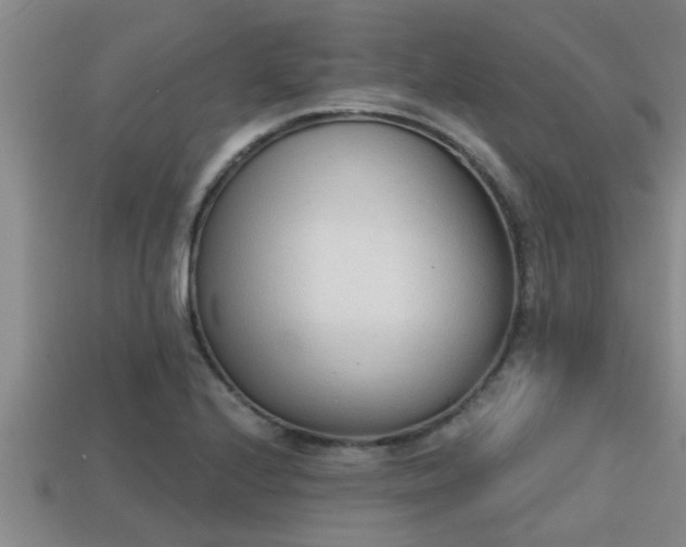 X0000113201224200909171507