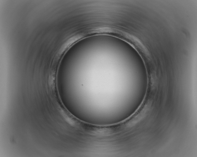 X0000113201225200909171507