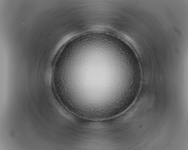 X0000113201227200909171507