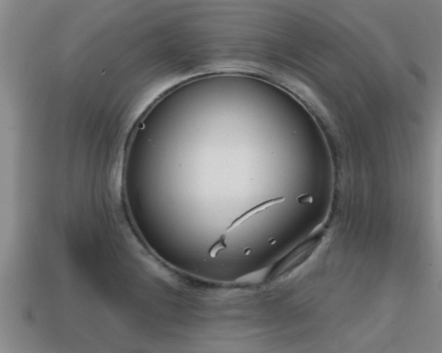 X0000113201228200909171507