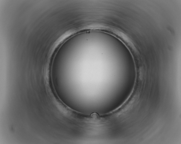 X0000113201229200909171507