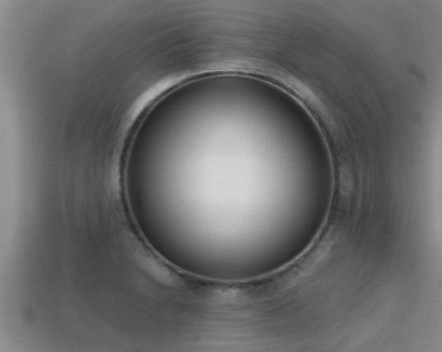 X0000113201230200909171507