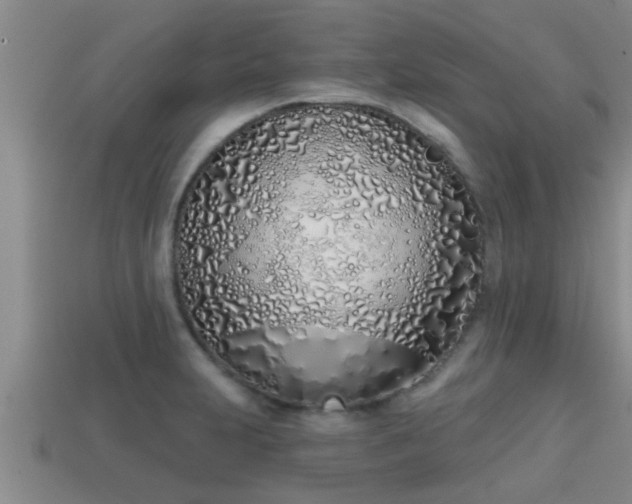 X0000113201231200909171507