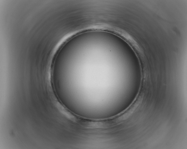 X0000113201232200909171507