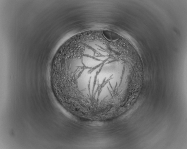 X0000113201235200909171507