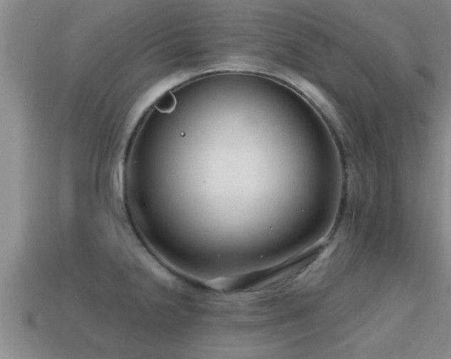 X0000113201238200909171507