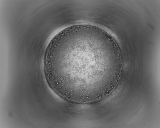 X0000113201239200909171507