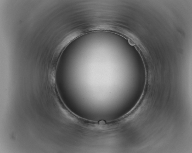 X0000113201241200909171507