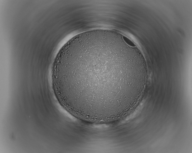 X0000113201243200909171507