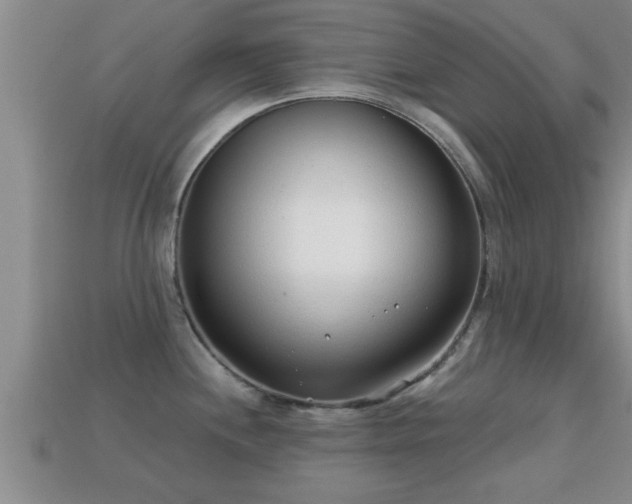 X0000113201244200909171507