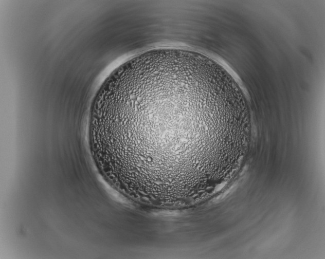 X0000113201245200909171507