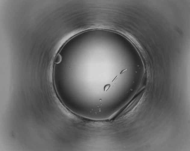 X0000113201246200909171507