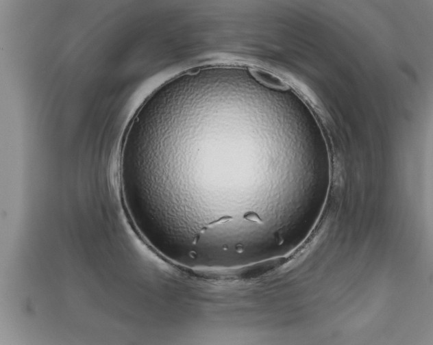 X0000113201247200909171507