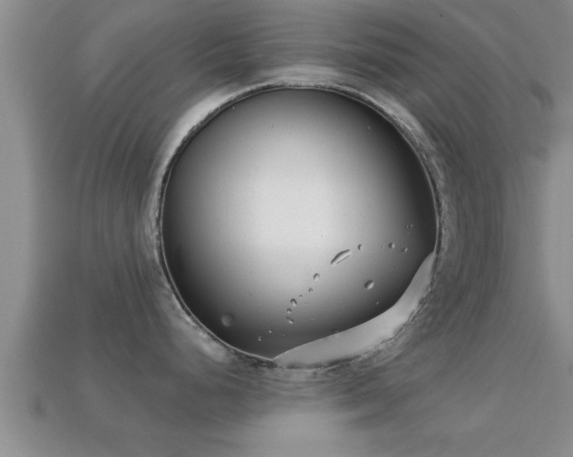 X0000113201248200909171507