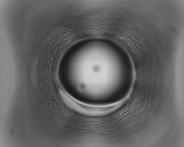 X0000113201249200909171506