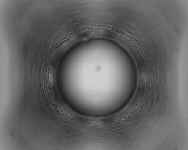 X0000113201250200909171506