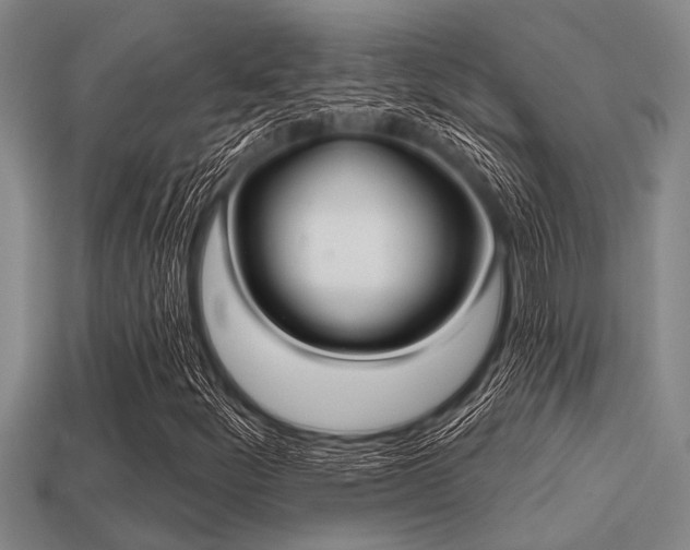 X0000113201252200909171506