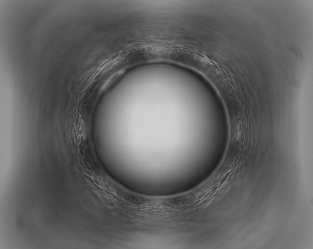 X0000113201253200909171506