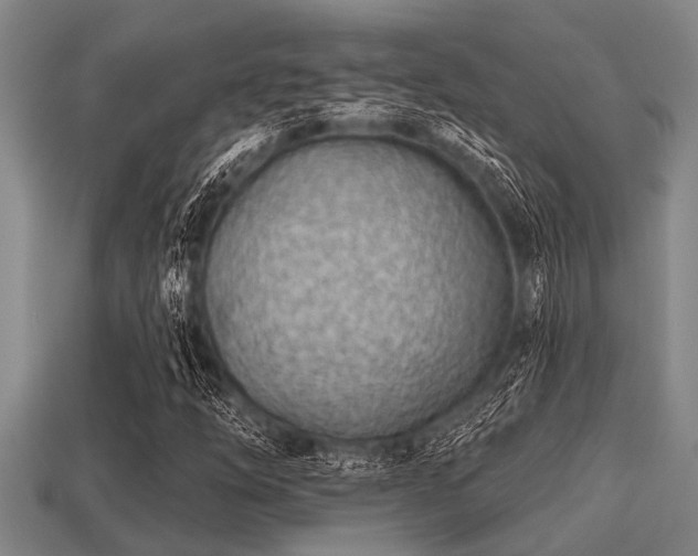 X0000113201254200909171506