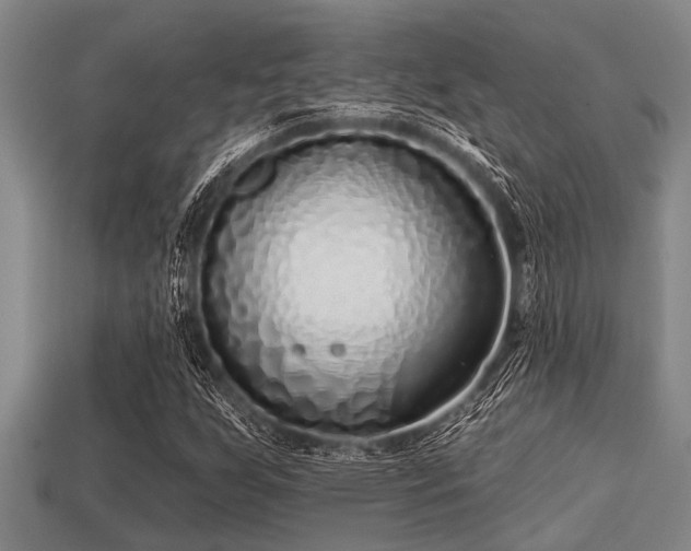 X0000113201255200909171506