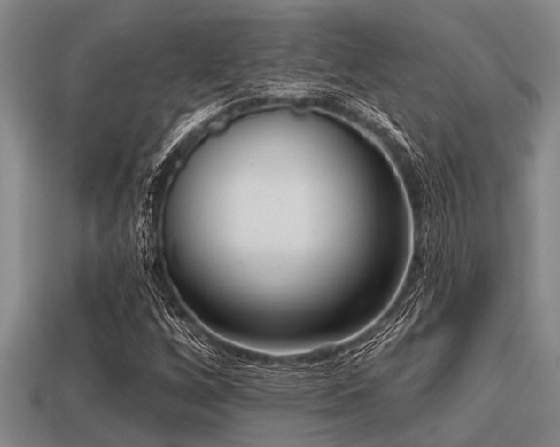 X0000113201256200909171506