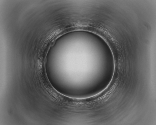 X0000113201257200909171506