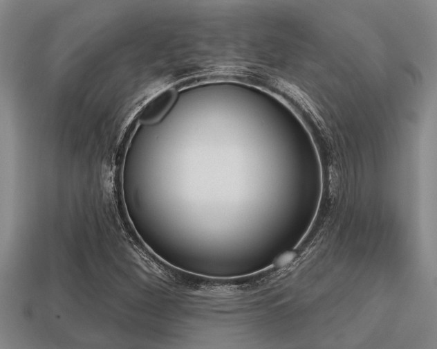 X0000113201260200909171506