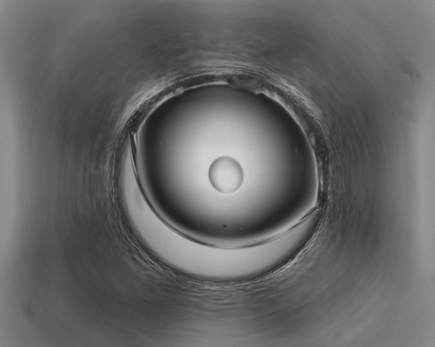 X0000113201261200909171506