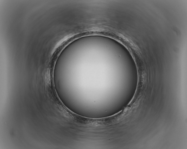 X0000113201262200909171506