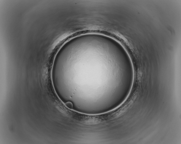 X0000113201263200909171506