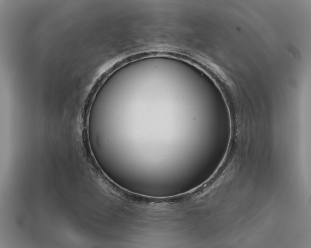 X0000113201264200909171506