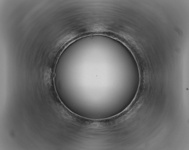 X0000113201265200909171506